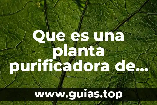 Que es la autotutela ejemplos 3 Que es una planta purificadora de agua proyecto
