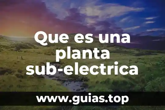 Que es una planta elodea 8 Que es una planta sub-electrica