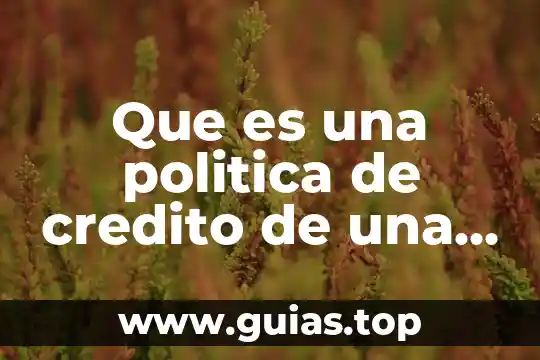 Por que es posible ver la estrella mas proxima 3 Que es una politica de credito de una empresa