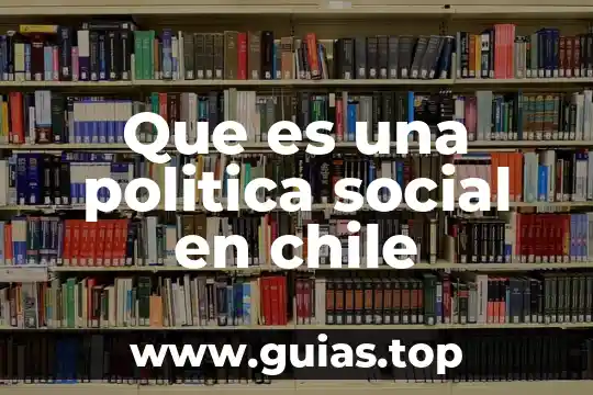 Que es la morfologia de una planta chile jalapeño 8 Que es una politica social en chile