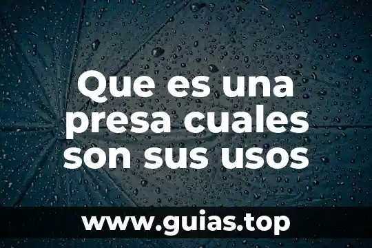 Que es un memorandum y cuales son sus caracteristicas 5 Que es una presa cuales son sus usos