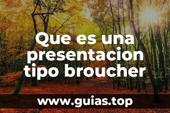 Qué es una reglas concepto 6 Que es una presentacion tipo broucher