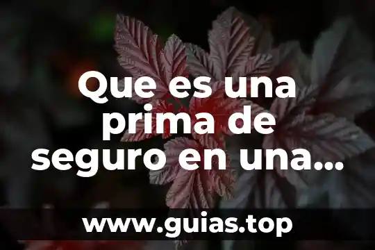 Qué es fletes sobre compras de materia prima en contabilidad 8 Que es una prima de seguro en una empresa