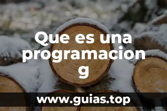 Que es un talle g en méxico 8 Que es una programacion g
