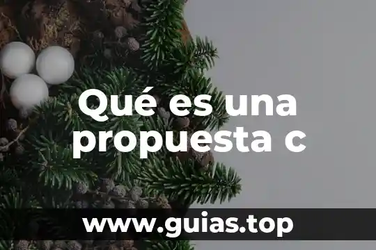 Que es c ldl 5 Qué es una propuesta c