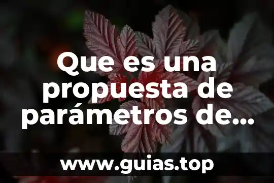 Qué es la visión de una investigación 6 Que es una propuesta de parámetros de la investigación