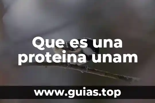 Qué es una progresión aritmética y características 6 Que es una proteina unam