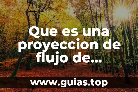 Qué es el efectivo circulante 4 Que es una proyeccion de flujo de efectivo