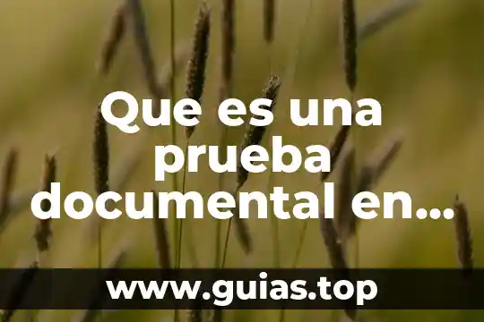 Qué es robótica documental 7 Que es una prueba documental en materia penal mexico