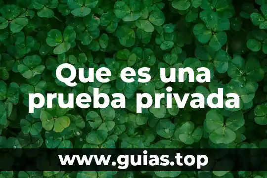 Que es una variable privada en programacion 4 Que es una prueba privada
