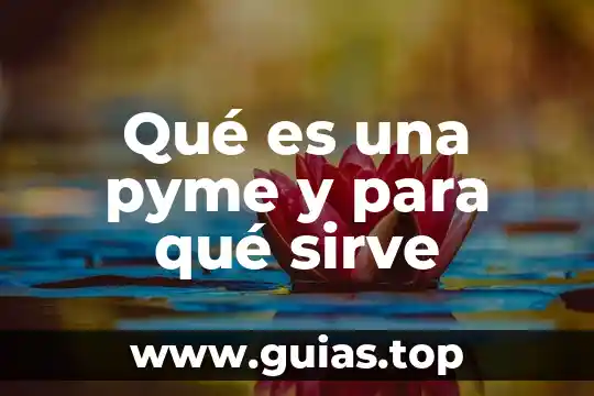 Microscopio compuesto que es y para que sirve 5 Qué es una pyme y para qué sirve