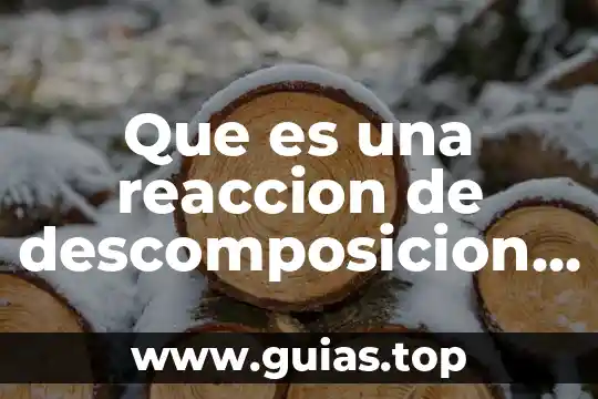 Que es el filtro de agua de biologia 8 Que es una reaccion de descomposicion en biologia