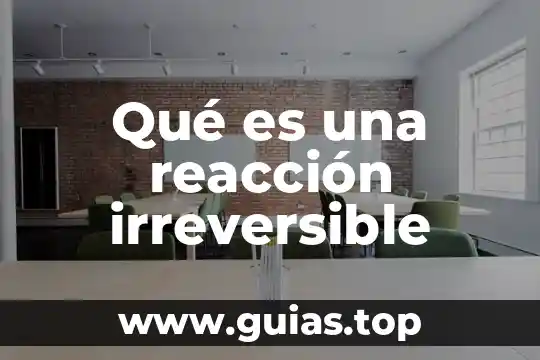 Que es figura publica en instagram 3 Qué es una reacción irreversible