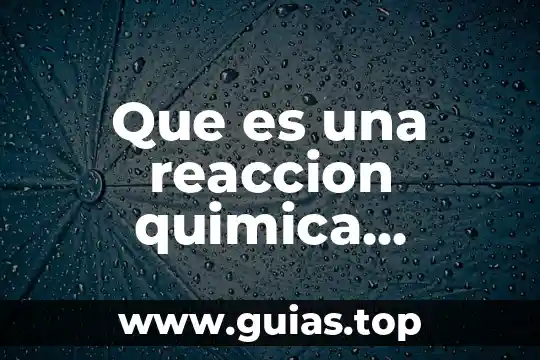 Qué es asertivo definición school 6 Que es una reaccion quimica definicion