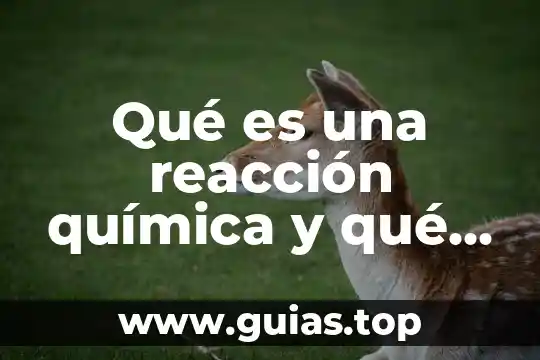 Que es una valoración en quimica 4 Qué es una reacción química y qué tipos hay