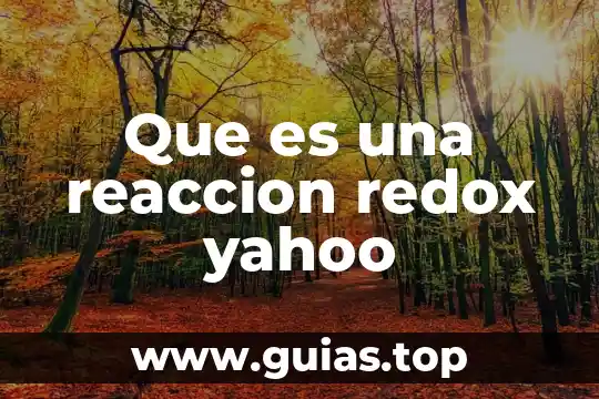 Que es una reaccion redox yahoo
