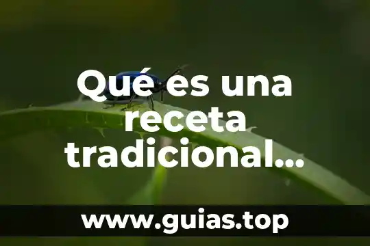 Qué es optimalidad definición 7 Qué es una receta tradicional definición
