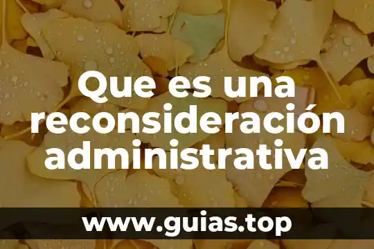 Que es el juicio de nulidad en materia administrativa 6 Que es una reconsideración administrativa