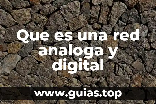 Que es el caliz en una planta 3 Que es una red analoga y digital