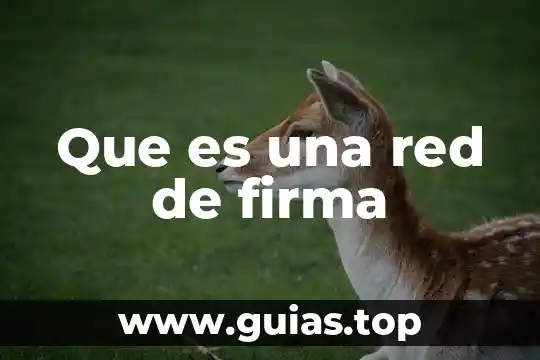 Qué es la firma digital en el IMSS 3 Que es una red de firma