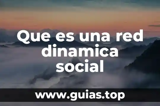 Que es red medical 4 Que es una red dinamica social