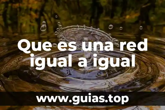 A que es igual la normal en dinamica 7 Que es una red igual a igual