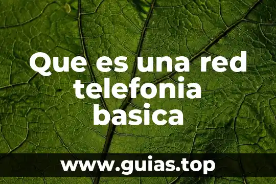 Que es una agua basica 3 Que es una red telefonia basica