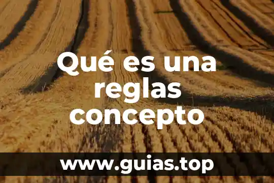 Qué es una red de man 6 Qué es una reglas concepto