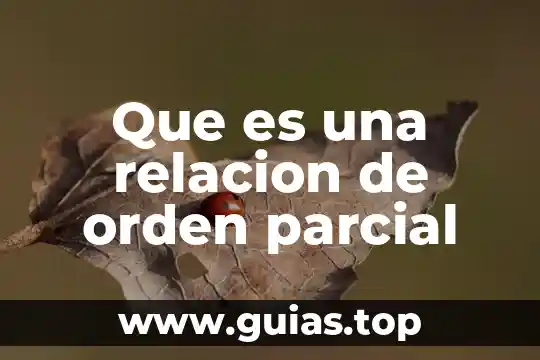 Orden del koala que come que es 3 Que es una relacion de orden parcial