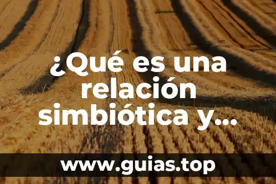 Qué es un cuadrilátero y cuántos tipos hay 3 ¿Qué es una relación simbiótica y cuántos tipos hay?