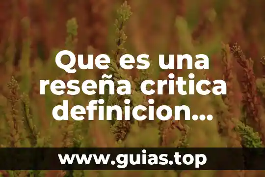 Qué es tutoría definición y concepto 8 Que es una reseña critica definicion ampliada