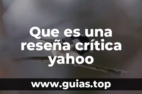 Que es un concepto de reseña 8 Que es una reseña crítica yahoo