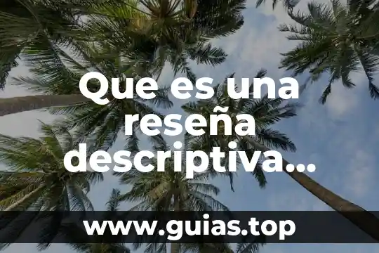 Qué es un antivirus definición y ejemplos 5 Que es una reseña descriptiva definicion