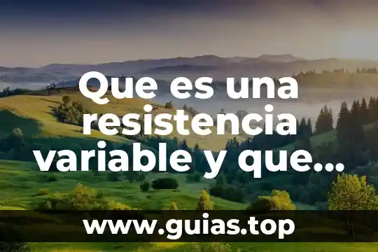 Que es un ensayo y cuantos tipos de ensayo hay 7 Que es una resistencia variable y que tipos hay