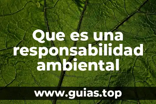 Que es responsabilidad de dinero en el trabajo 7 Que es una responsabilidad ambiental