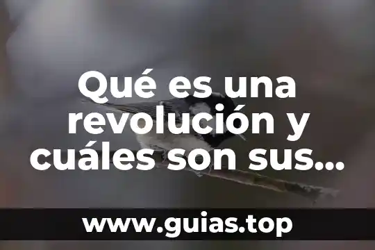 Defina que es la reproducción y cuales son sus tipos 6 Qué es una revolución y cuáles son sus equivalencias