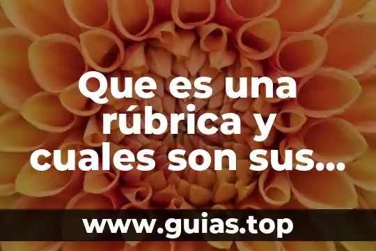 Qué es un disco duro y cuáles son sus tipos 6 Que es una rúbrica y cuales son sus elementos