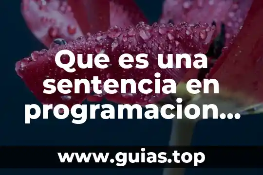 Que es sentencia de procés 8 Que es una sentencia en programacion de arduino
