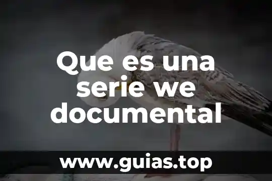 Qué es el número de serie de una computadora 4 Que es una serie we documental
