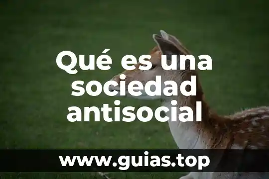 Que es ser tan antisocial 6 Qué es una sociedad antisocial