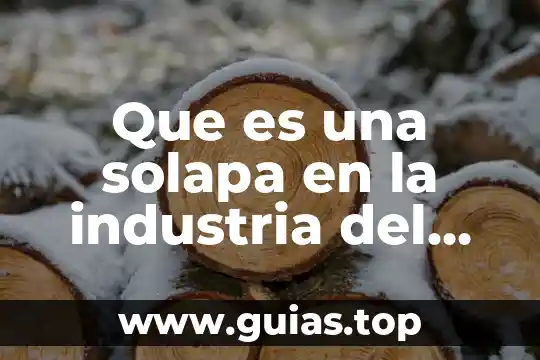Que es un viaje y la industria de viaje 5 Que es una solapa en la industria del vestido