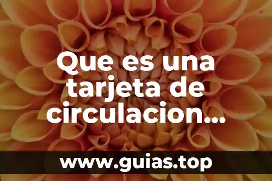 Que es el alias de tarjeta 3 Que es una tarjeta de circulacion permanente