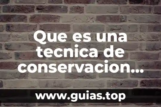 Que es un recurso de acceso abierto o en línea 8 Que es una tecnica de conservacion de el agua