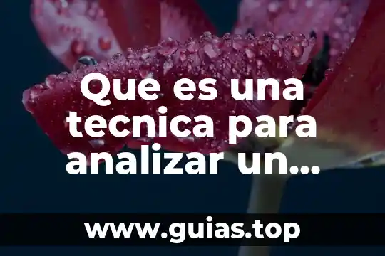 Que es analizar concepto 3 Que es una tecnica para analizar un texto