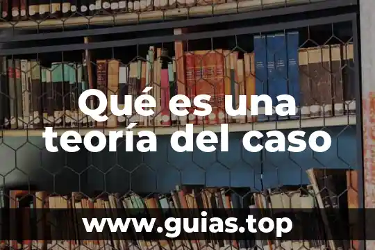 Que es la teoria nehumano relacionista de la administracion 8 Qué es una teoría del caso