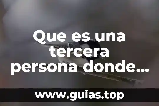 Que es ser responsable con uno mismo 3 Que es una tercera persona donde se descriva uno mismo