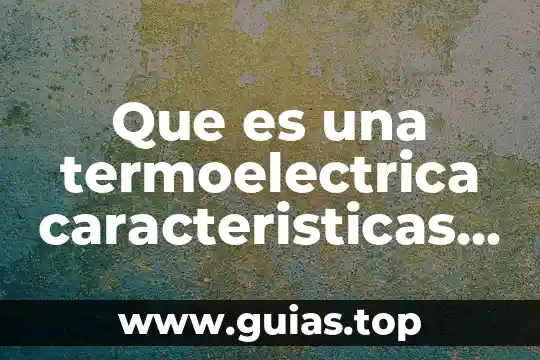 Que es la ubicación fisica de la mercancia 6 Que es una termoelectrica caracteristicas y ubicacion