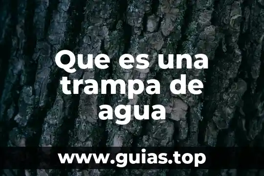 Que es tu nombre del animal 4 Que es una trampa de agua