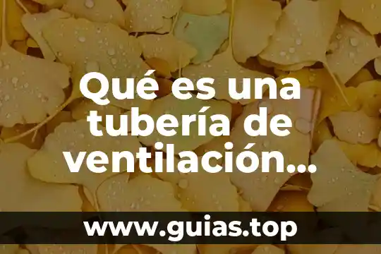Que es el dinero para niños de primaria primero 6 Qué es una tubería de ventilación primaria