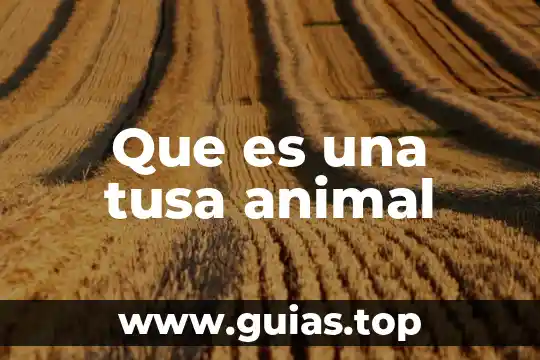 Que es inteligencia animal 3 Que es una tusa animal